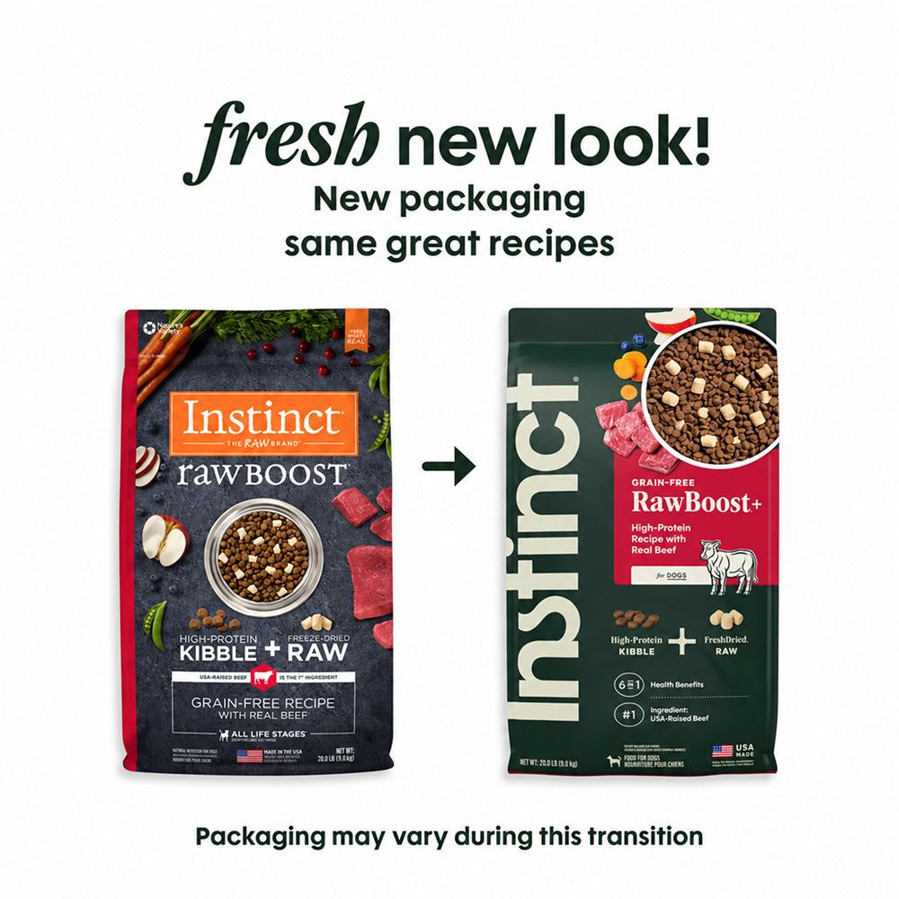 Raw Boost Grain-Free Kibble + Raw Dog Dry Food - Beef