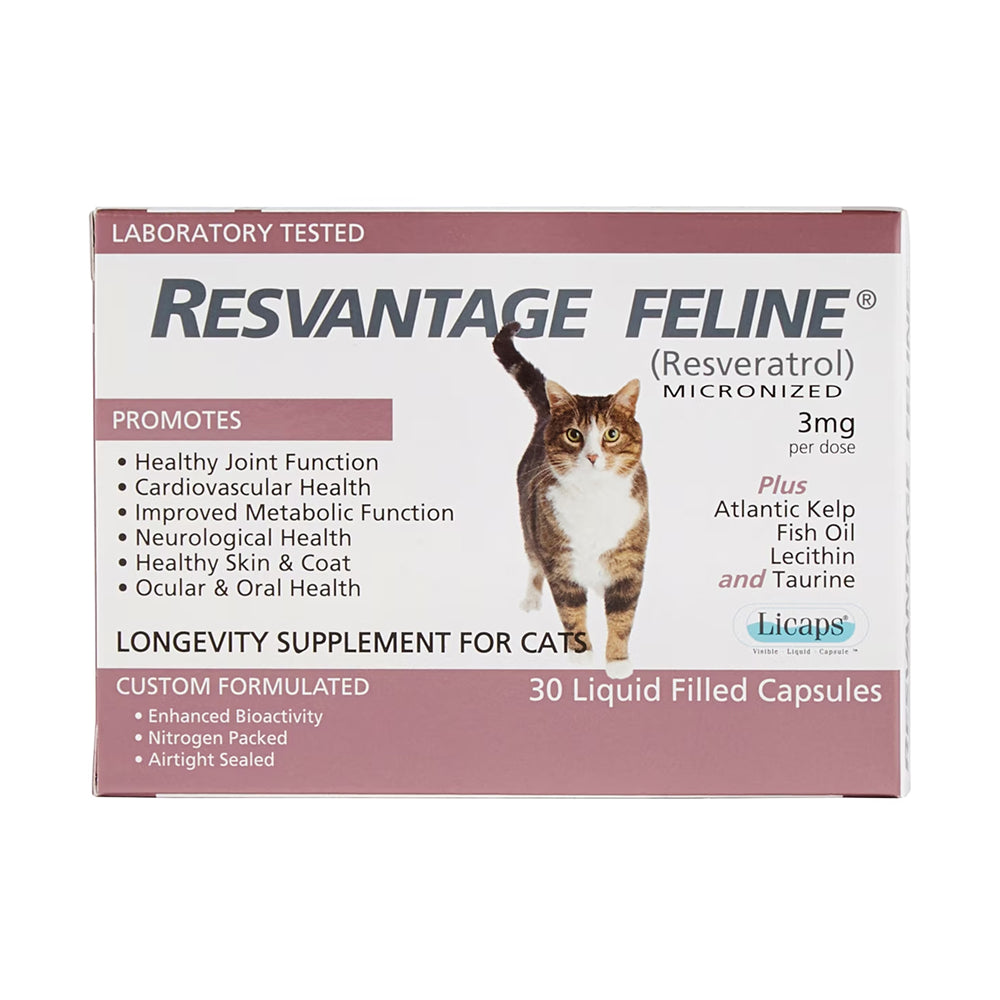 Longevity Supplement For Cats