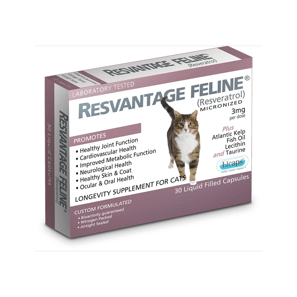 Longevity Supplement For Cats