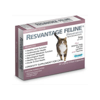 Longevity Supplement For Cats