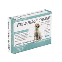 Longevity Supplement For Dogs