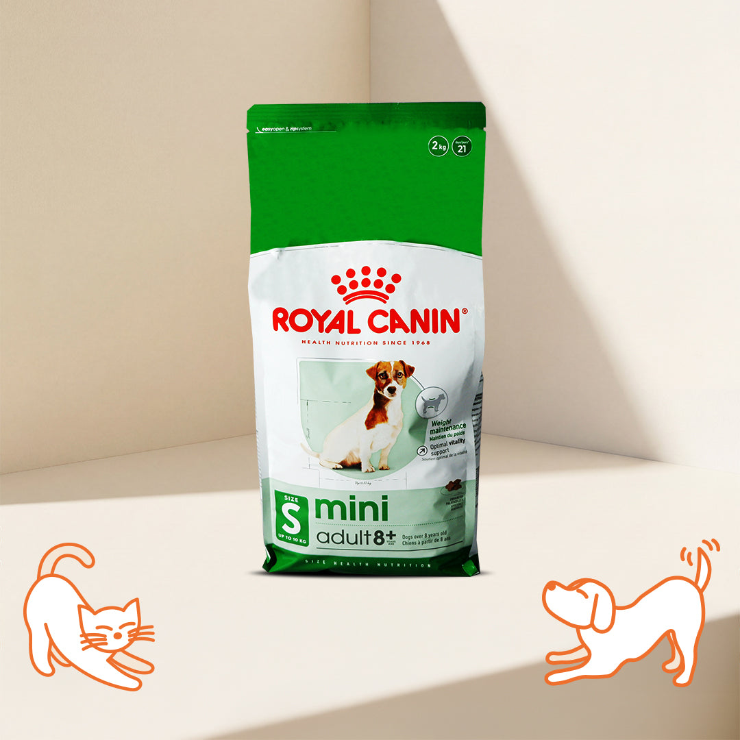 SHN Mini Adult 8+ Dog Dry Food