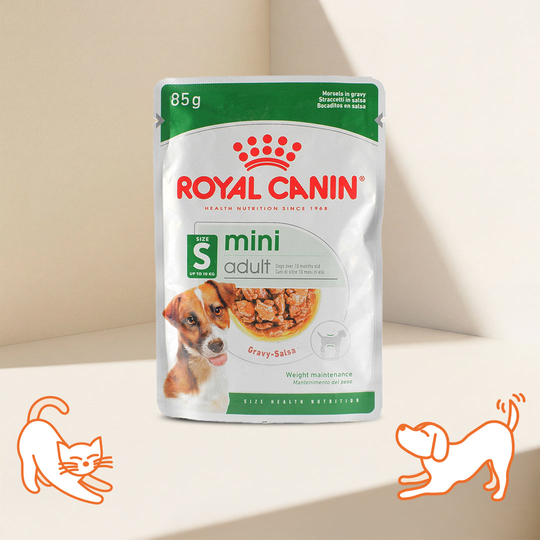 SHN Mini Adult Dog Pouch