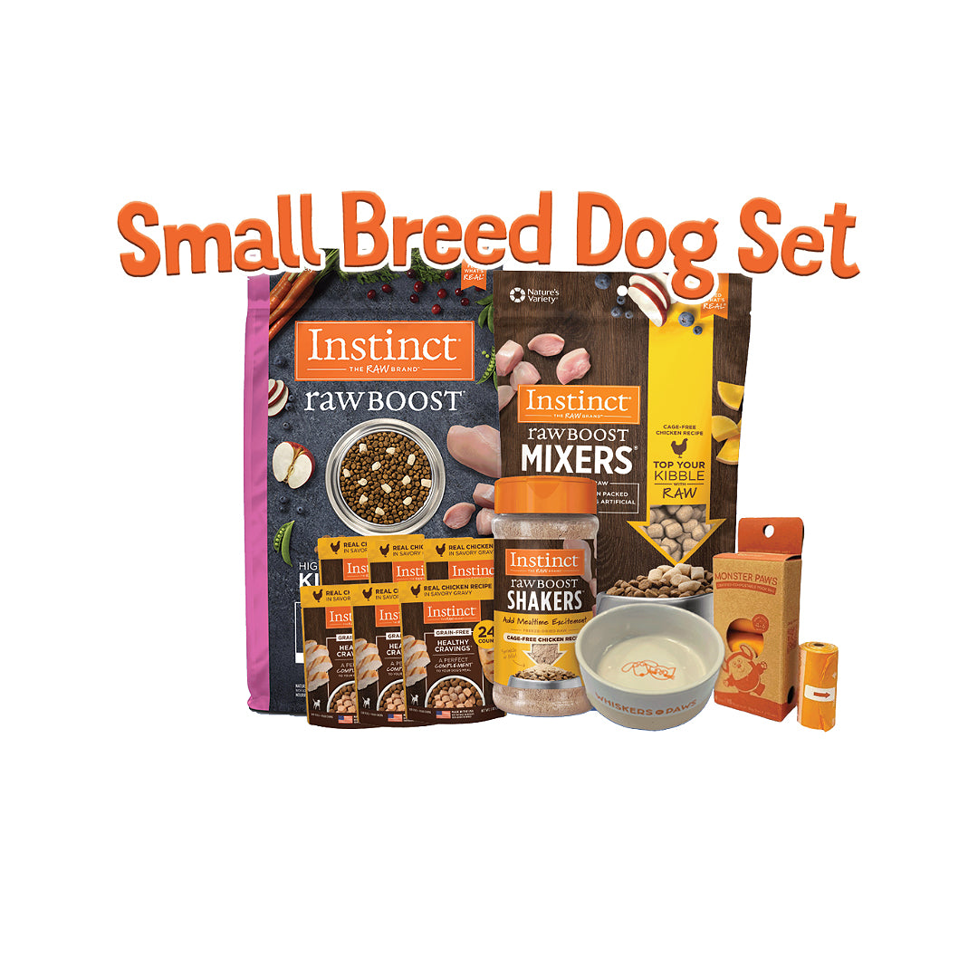 Small Breed Dog Bundle Set