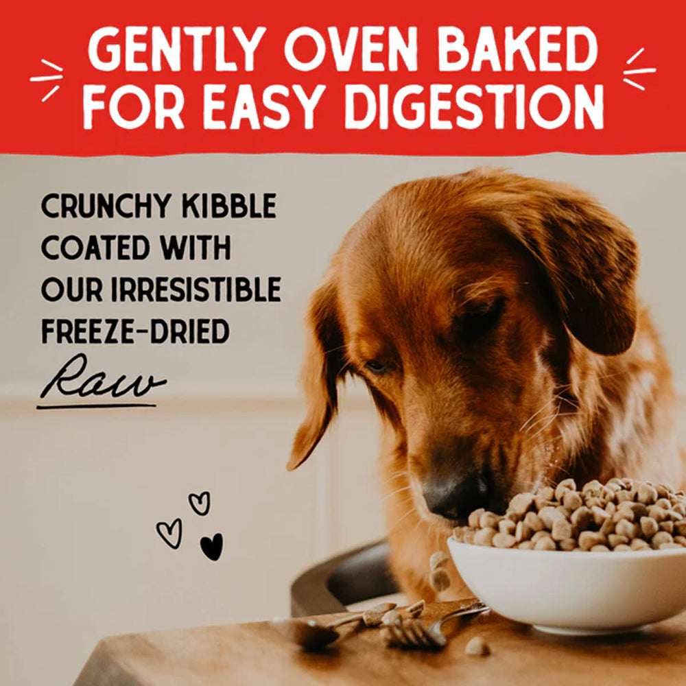 Small Breed Freeze Dried Cage-Free Duck Raw Coated Dog Dry Food