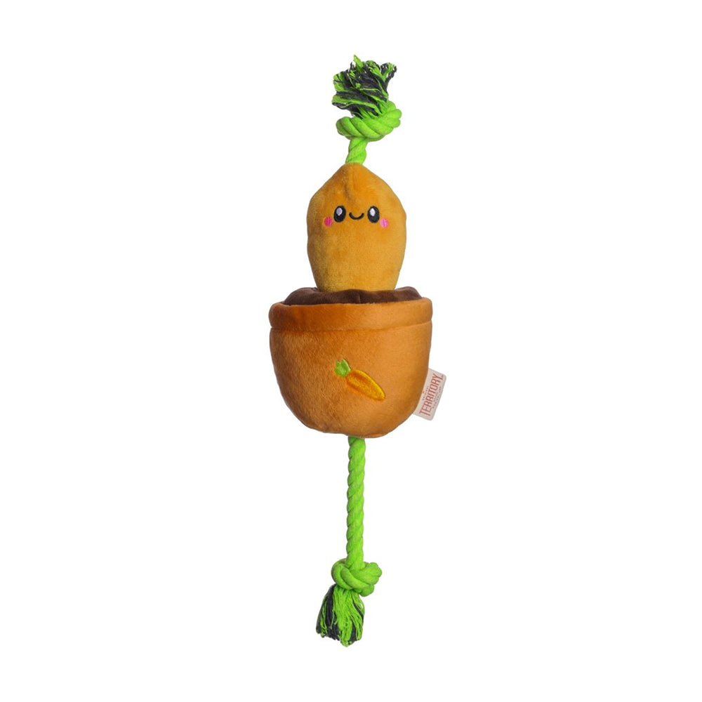 Carrot Dog Tug Toy