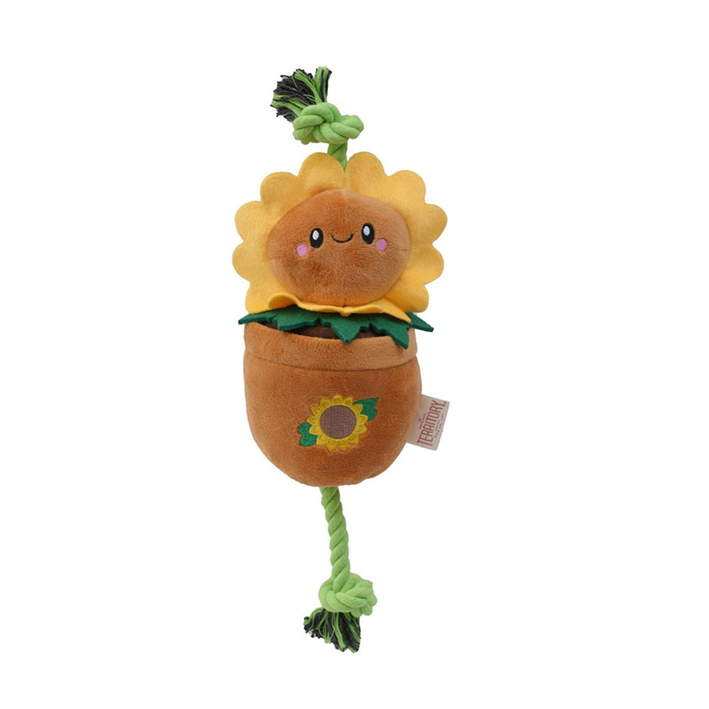 Sunflower Dog Tug Toy