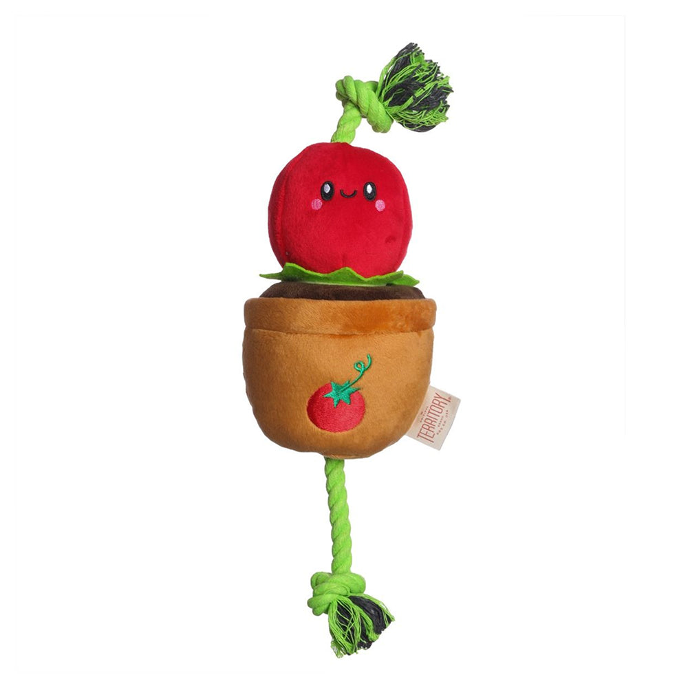 Tomato Dog Tug Toy
