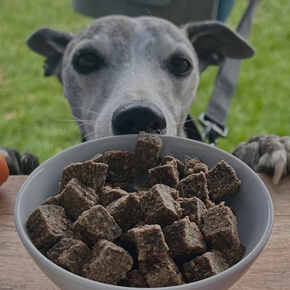The Innocent Hound - British Lamb Casserole with Sweet Potato Dog Food