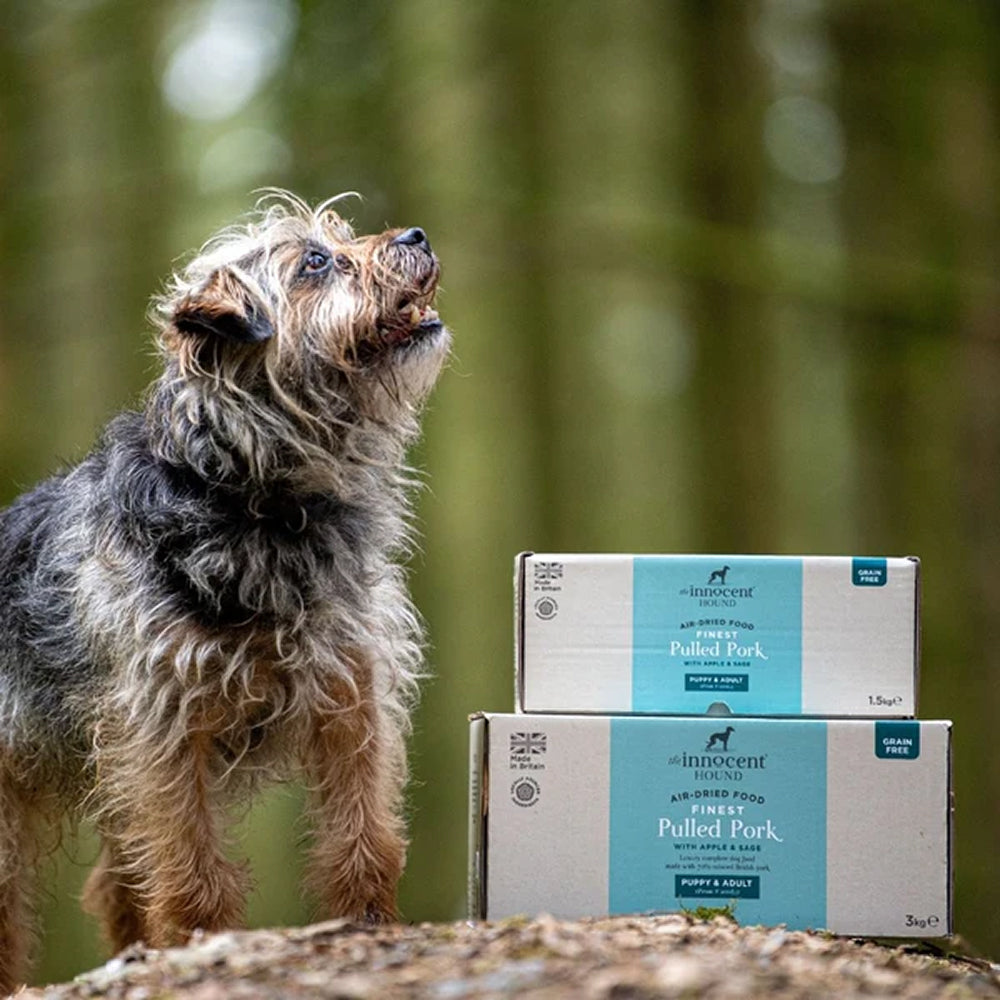 The Innocent Hound - Finest Pulled Pork with Apple & Sage  Dog Food