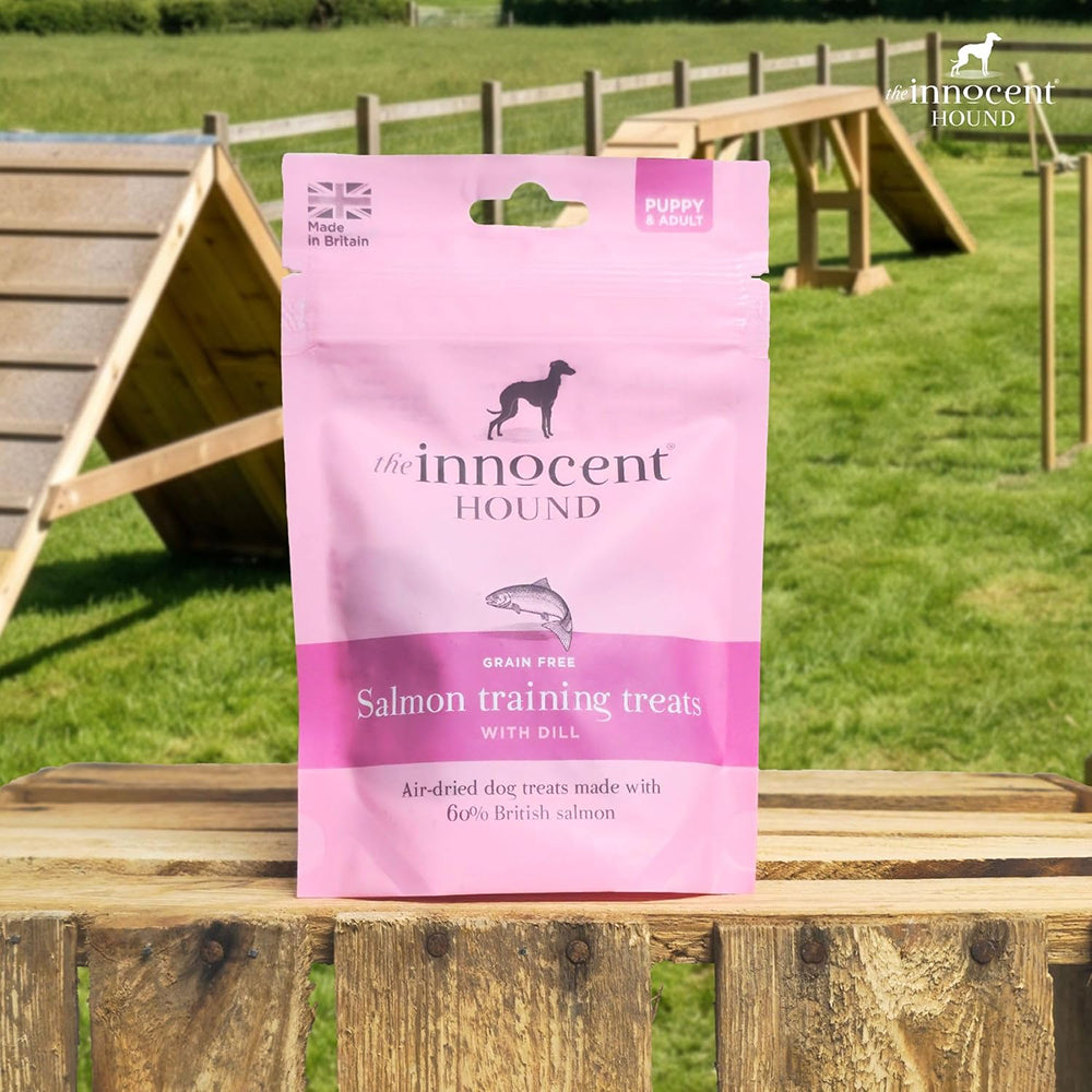 Salmon Training Treats Dog Treat