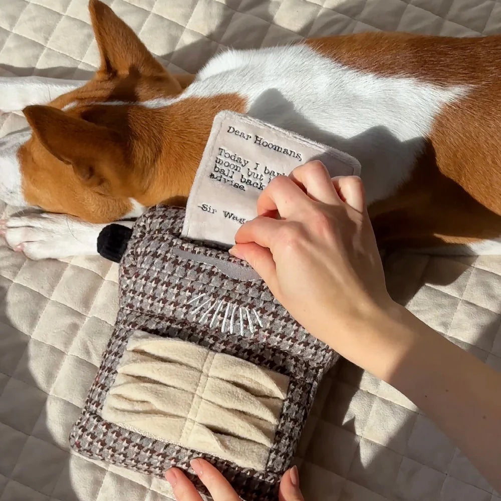 Typewrtier Snuffle & Squeaky Dog Toy