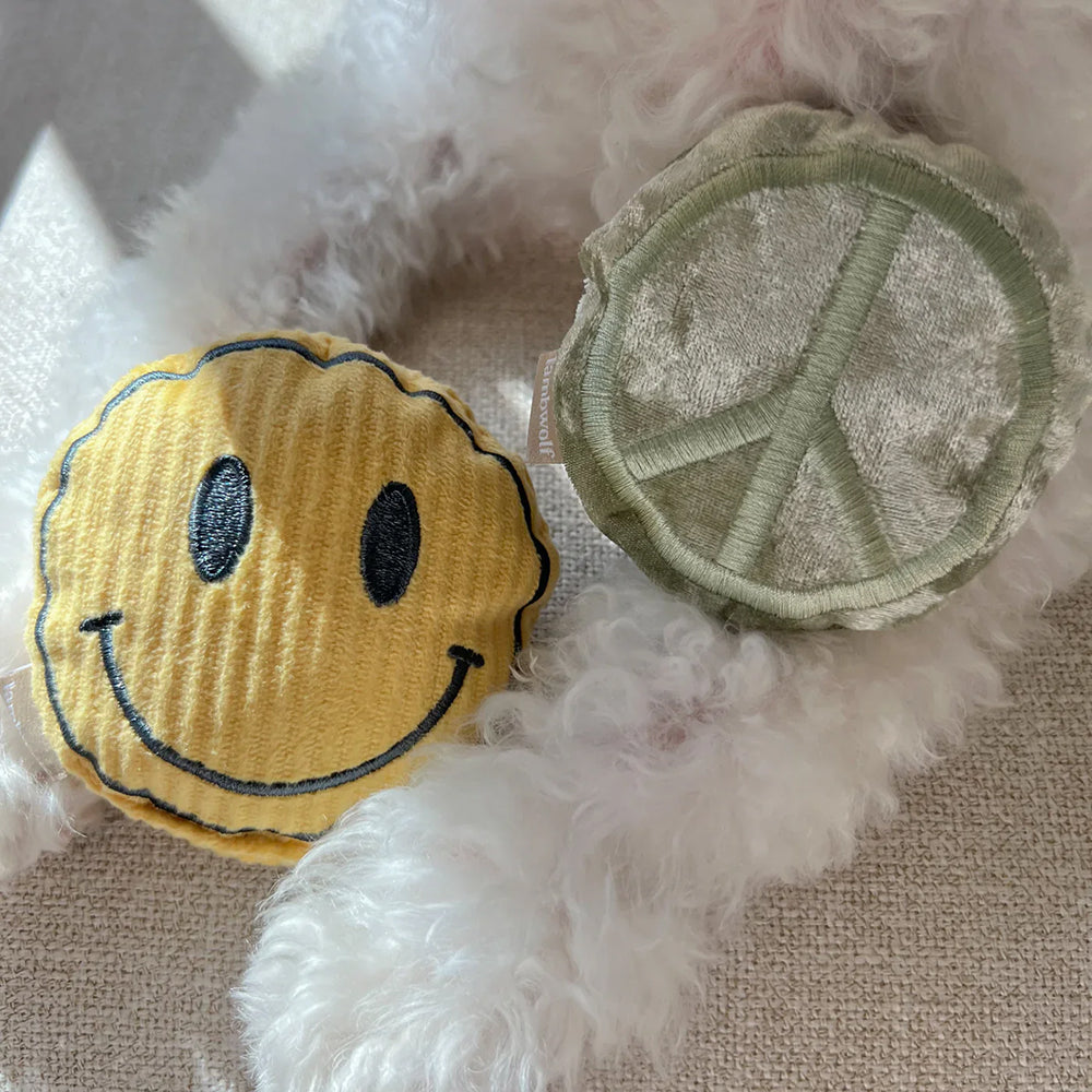 Keep Rollin Snuffle & Squeaky Dog Toy