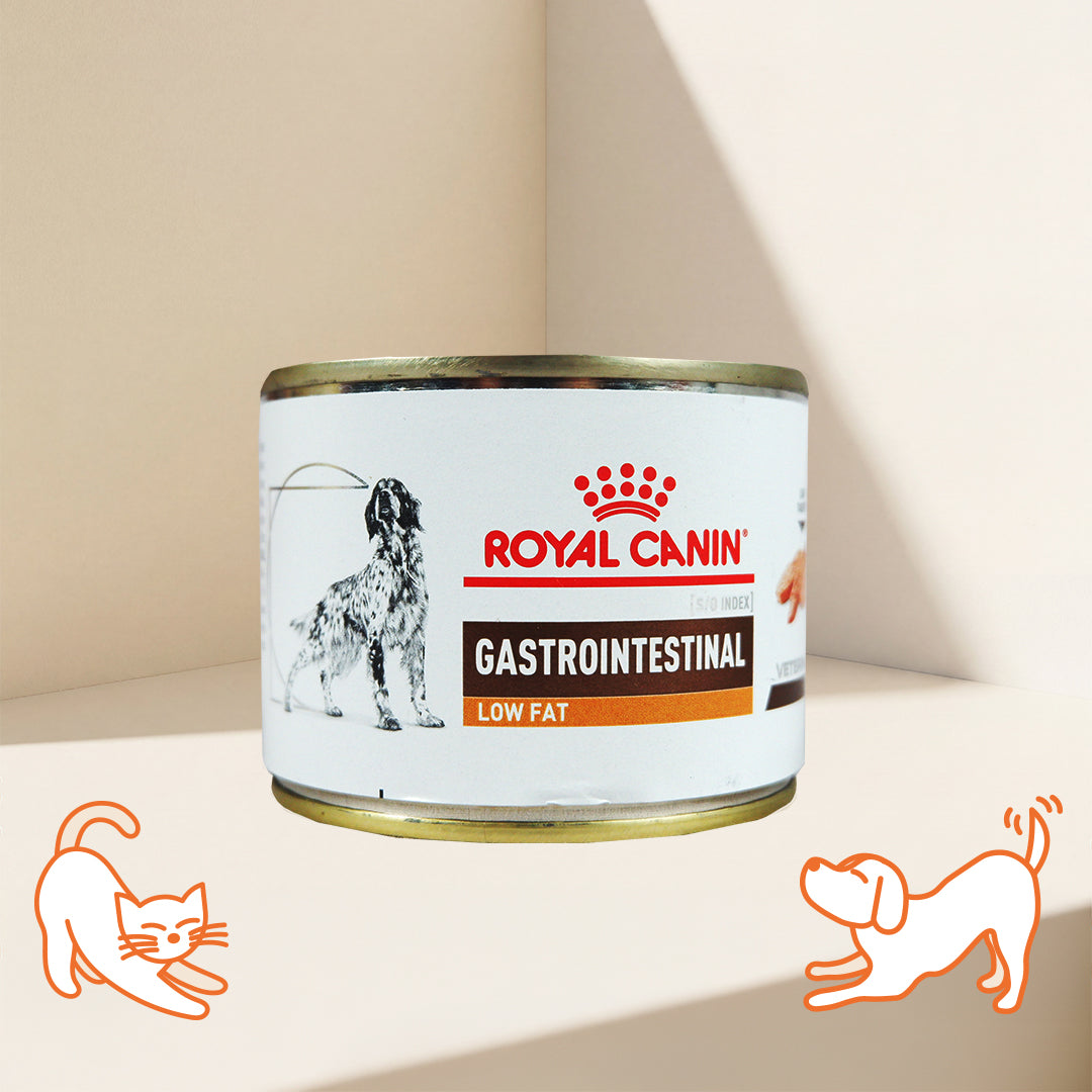 VHN Gastro Intestinal Dog Low Fat Dog Can