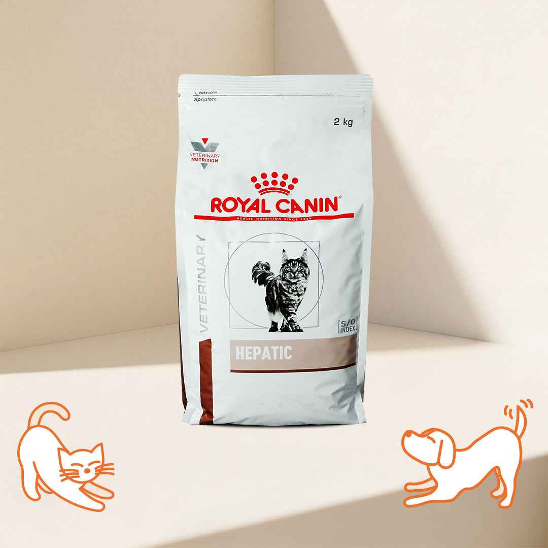 VHN Hepatic Adult Cat Dry Food