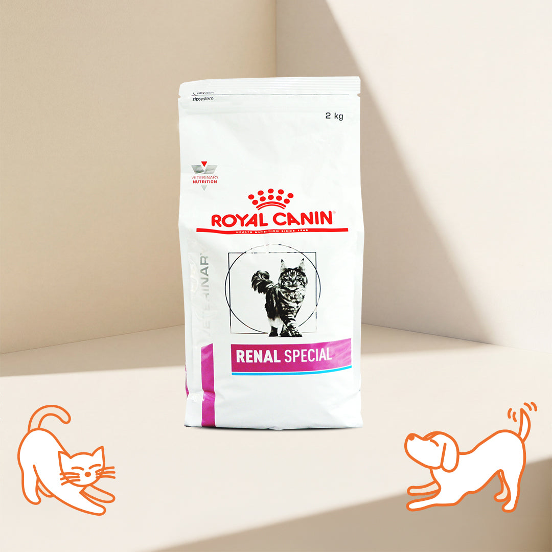 VHN Renal Adult Cat Dry Food