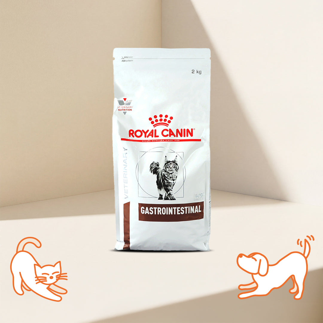VHN G-I Adult Cat Dry Food