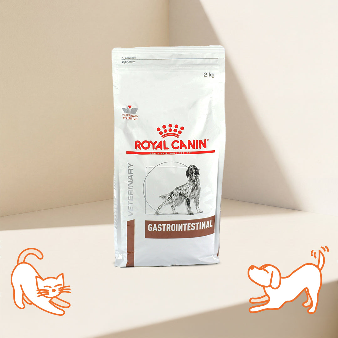 VHN G-I Adult Dog Dry Food