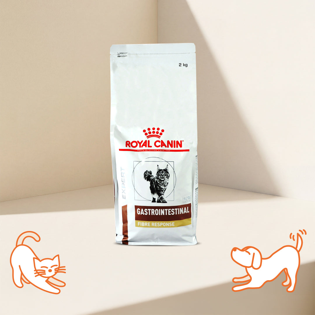 VHN G-I Fibre Response Adult Cat Dry Food