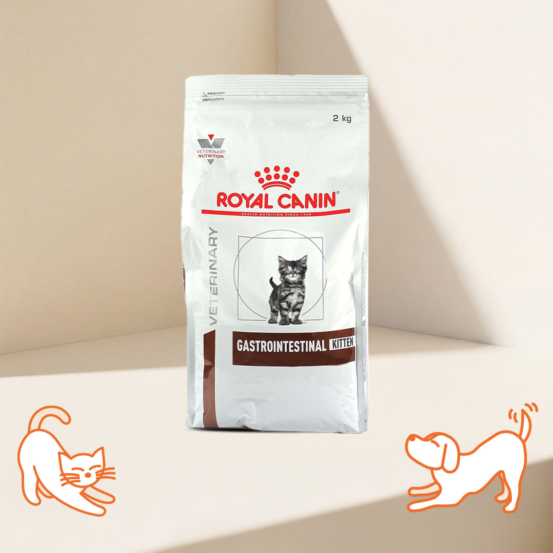VHN G-I Kitten Cat Dry Food