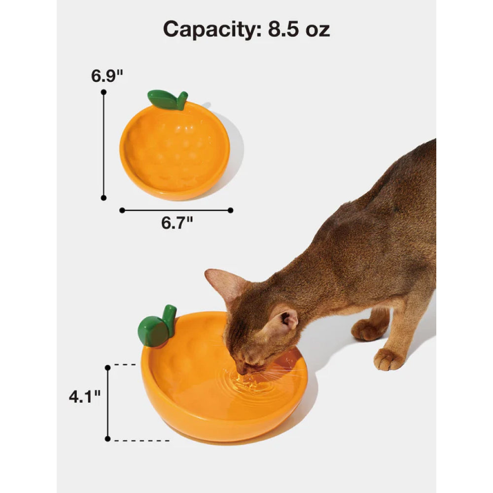 Tangerine Ceramic Pet Bowl