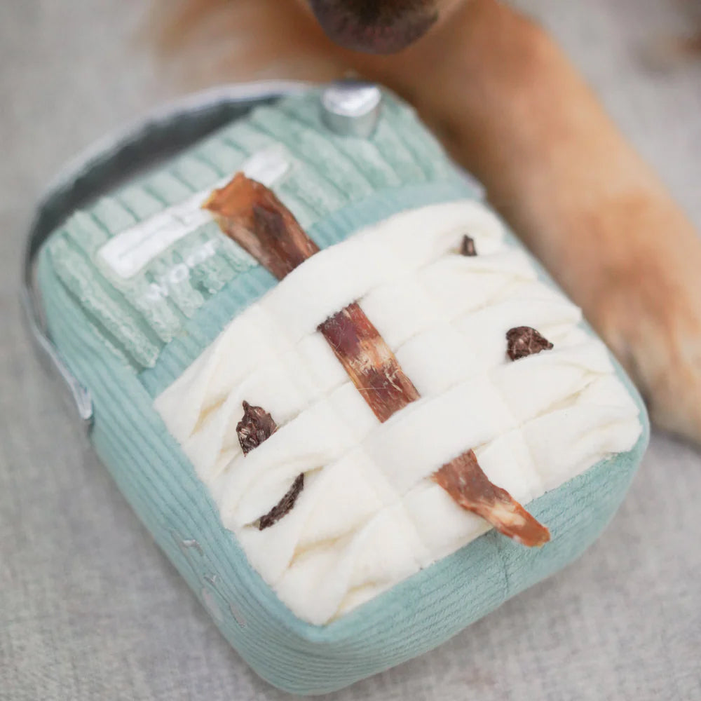 Woof FM Snuffle & Squeaky Dog Toy