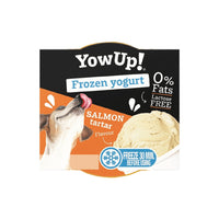 Frozen Natural Skimmed Yogurt - Salmon Tartar Treats For Dog & Cat