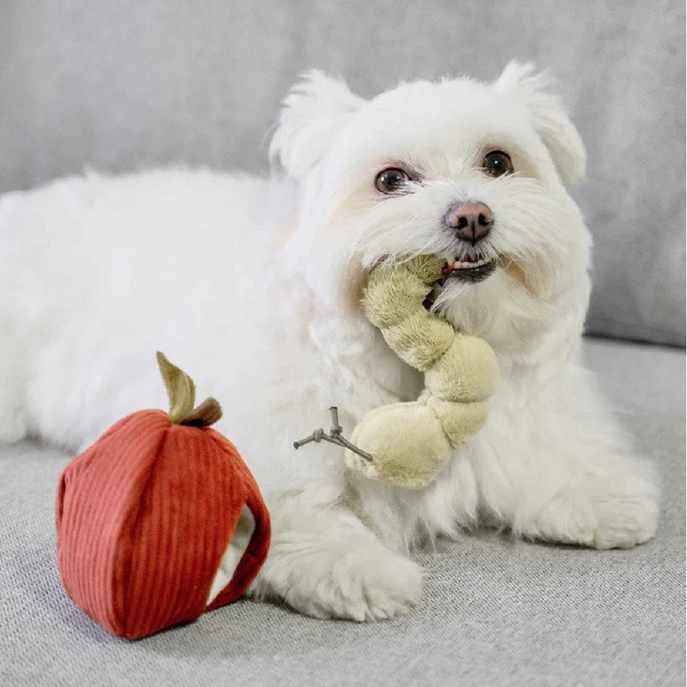 Apple Crinkly and Burrow Dog Toy