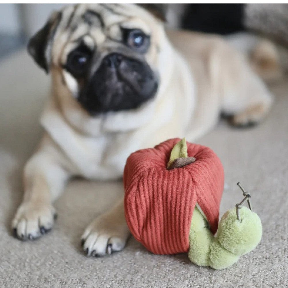 Apple Crinkly and Burrow Dog Toy