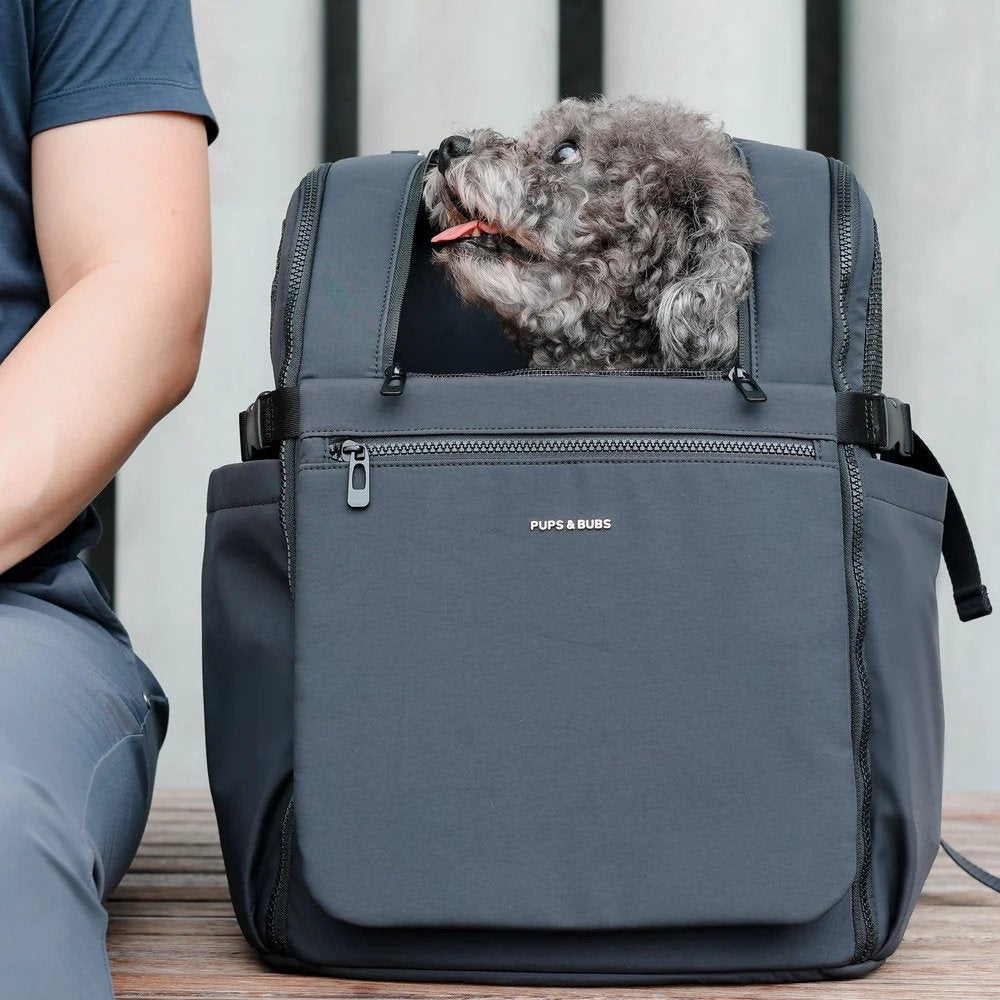 Traveler Pet Carrier Backpack