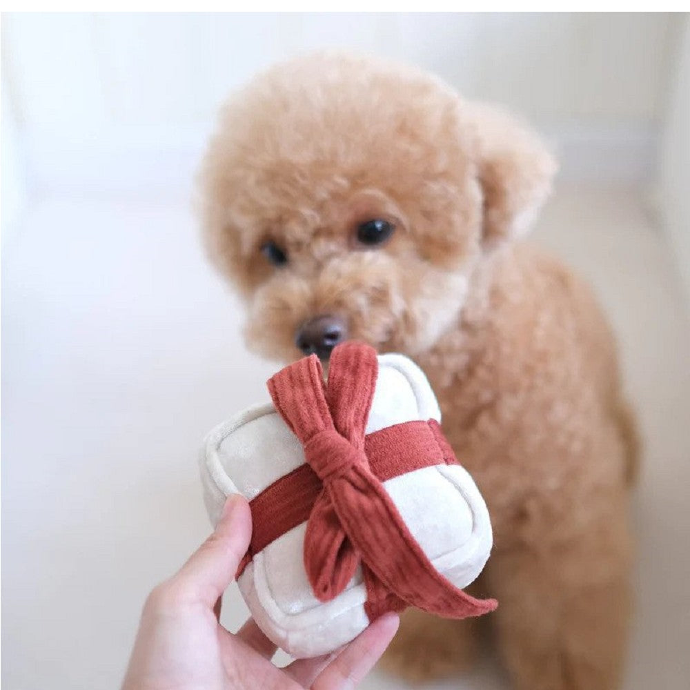 Holiday Box Squeaky Dog Toy