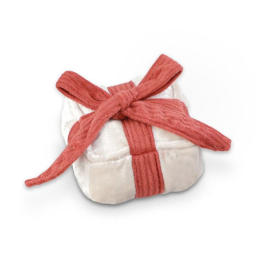 Holiday Box Squeaky Dog Toy