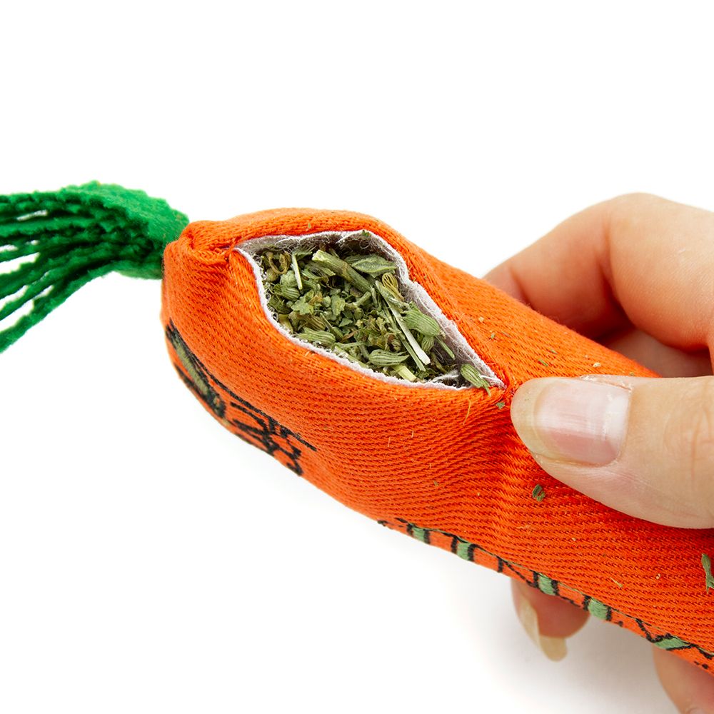 Carrot Catnip Toy