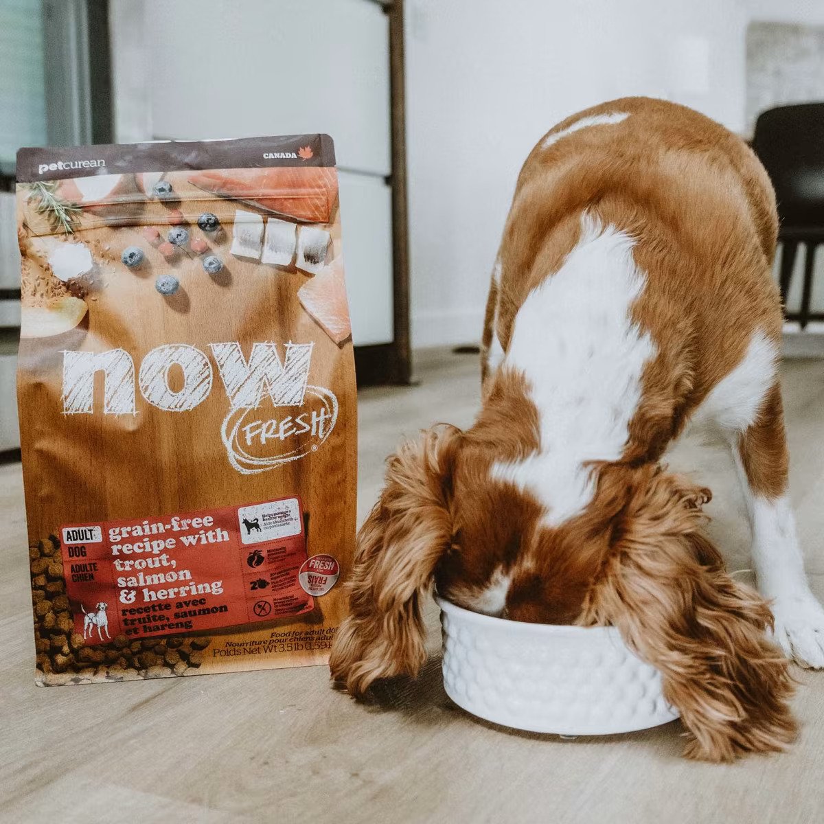 Adult Grain Free Trout Salmon Herring Dog Dry Food