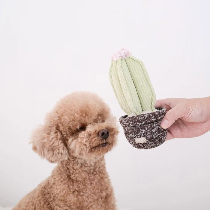 Cactus Snuffle and Squeaky Dog Toy
