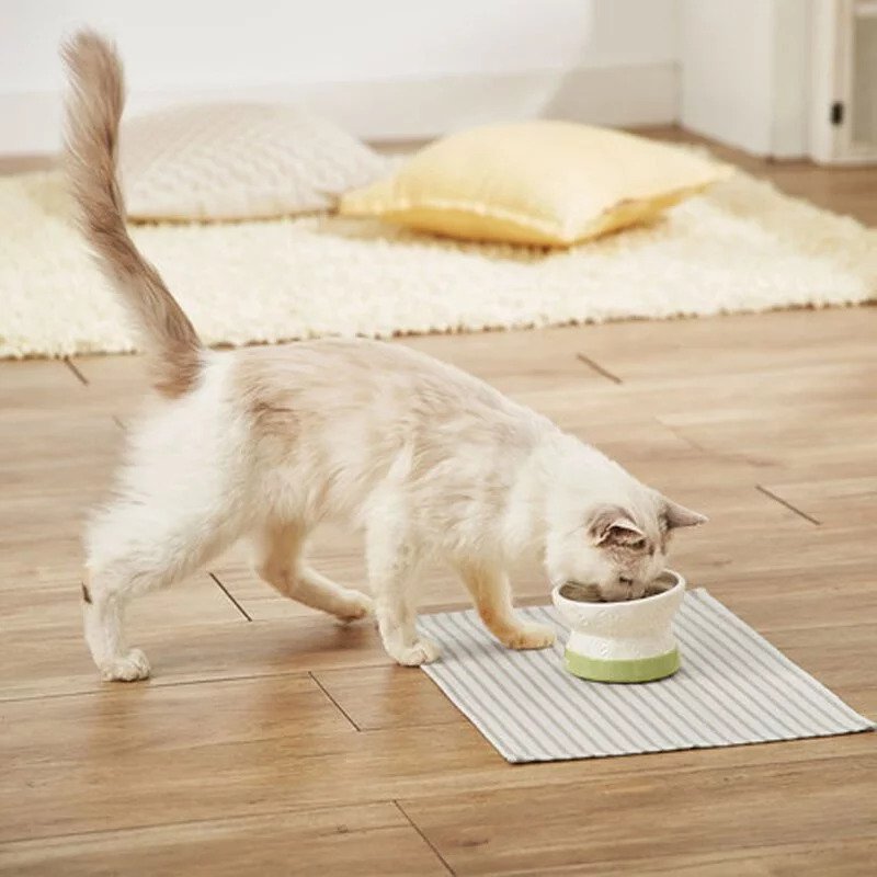Bevel Angle Raised & Anti-slip Ceramic Cat Bowl