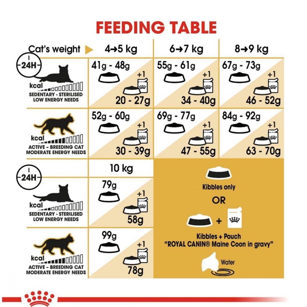 FBN Maine Coon Adult Cat Dry Food Whiskers N Paws