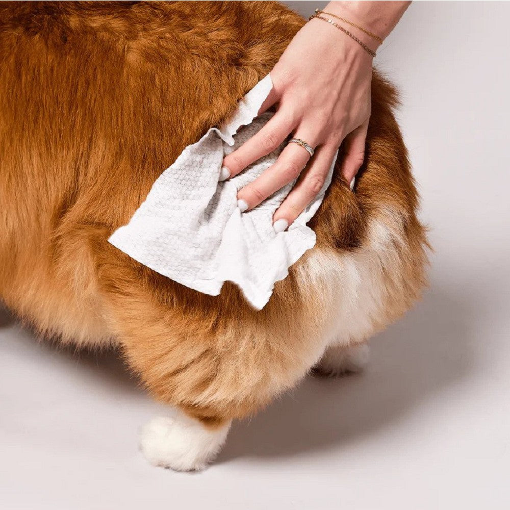 Coat Grooming Wipes for Dogs