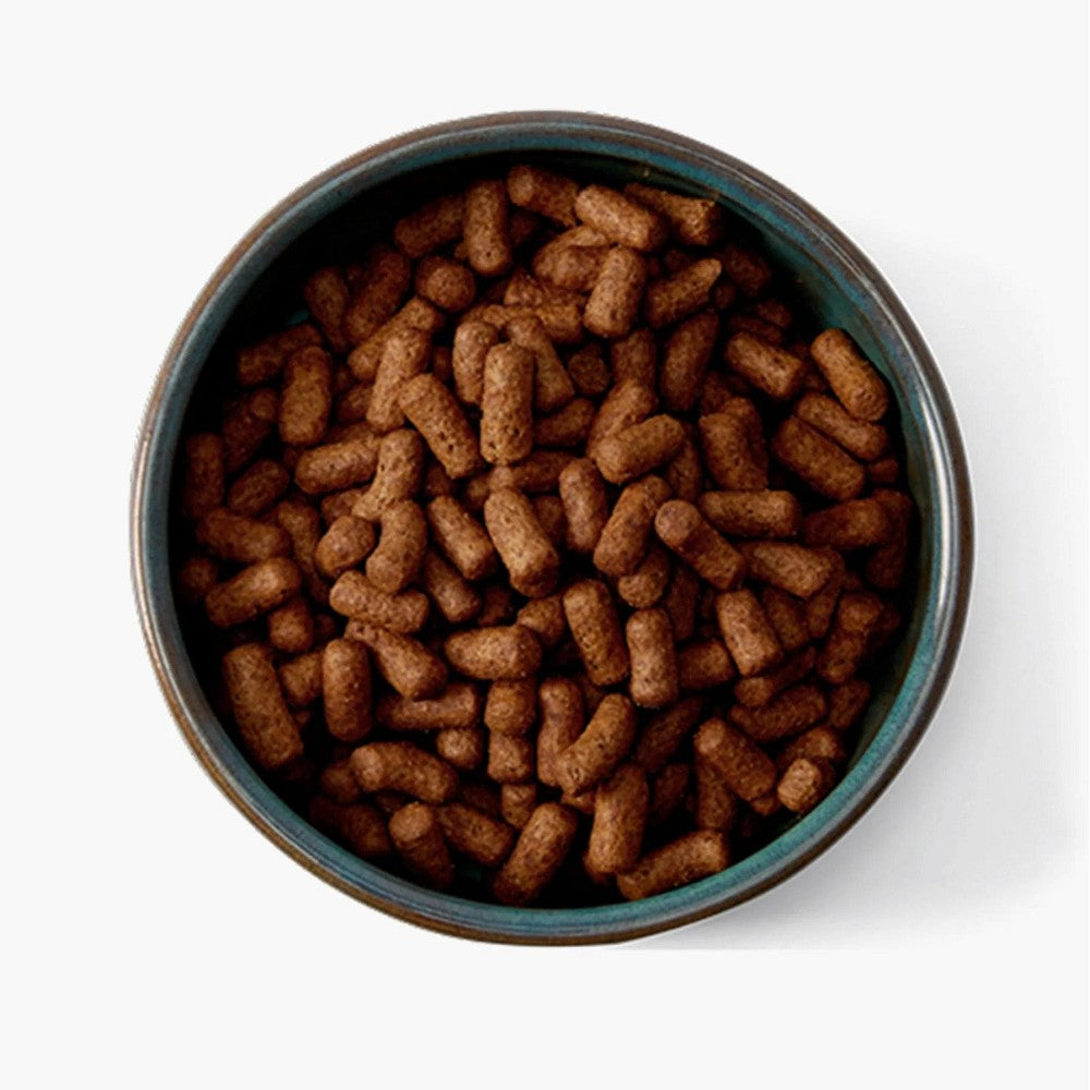 Free Range Senior/Light Dry Food