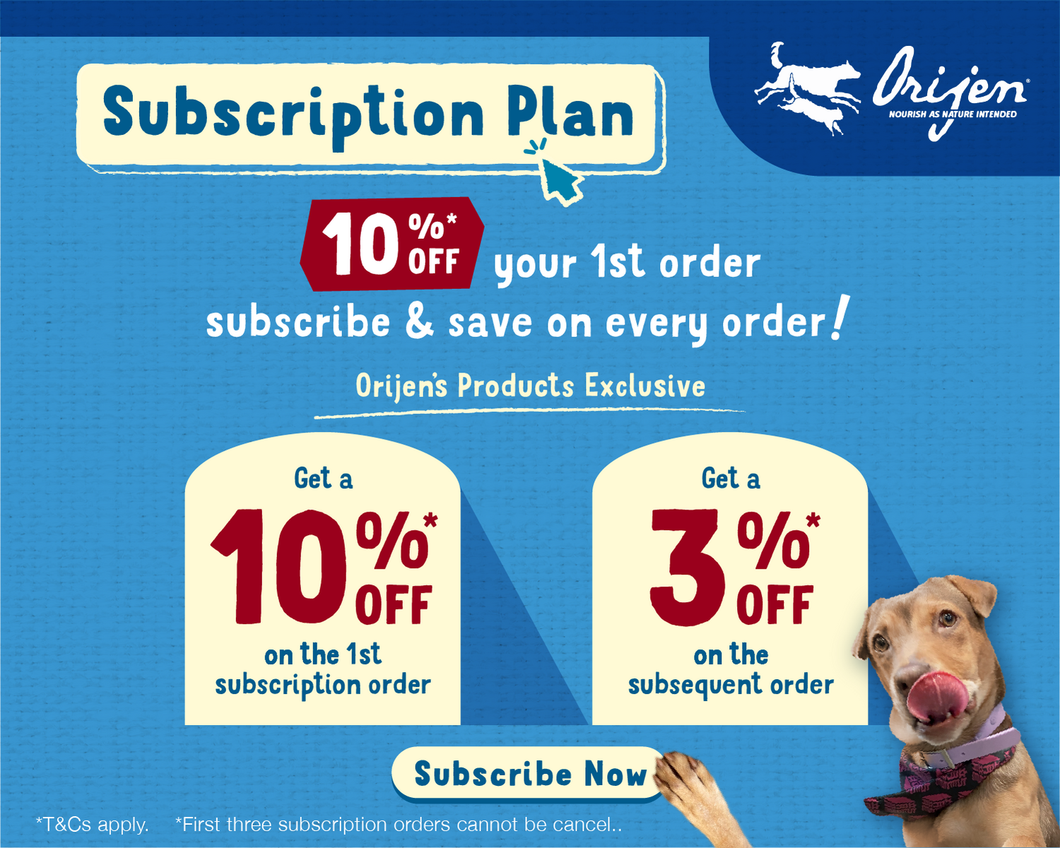 Dog best sale supplies online