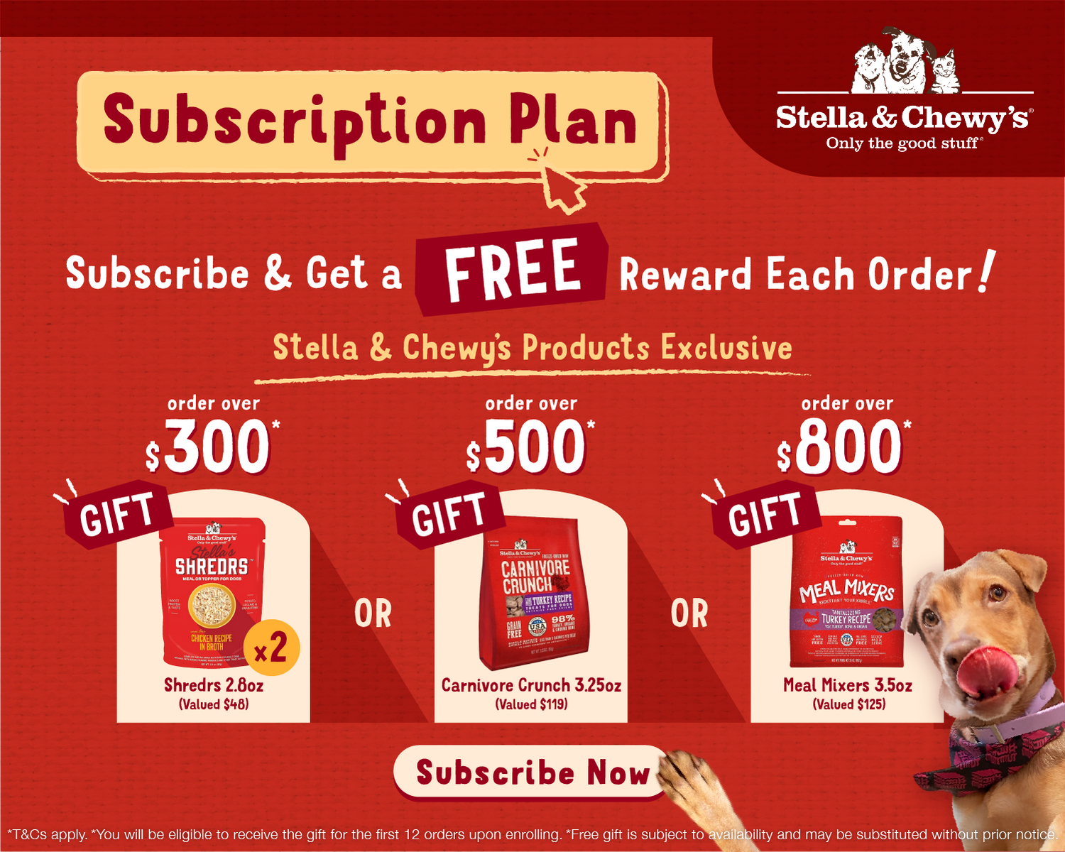 Cheap pet shop sales online