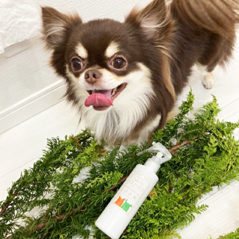 Natural Flea with Tick Spray for Dogs & Cats
