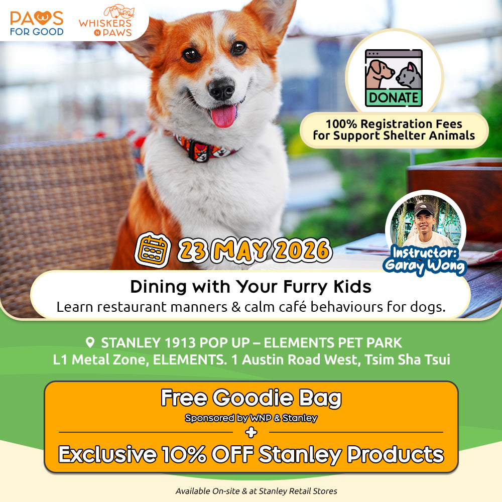 The Pawsome Citizen Workshop Series