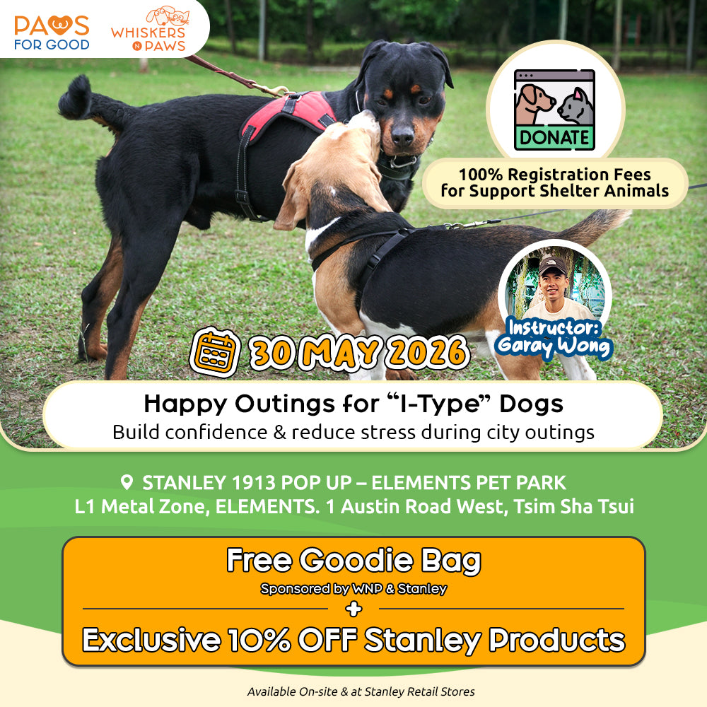 The Pawsome Citizen Workshop Series