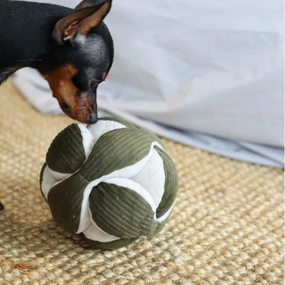 Holiday Monti-Crinkly and Squeaky Snuffle Ball Dog Toy