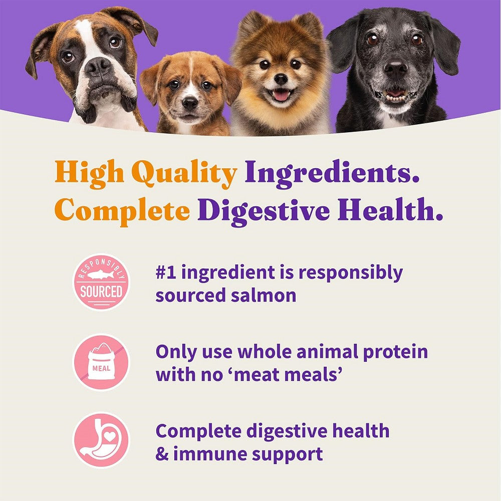 Holistic Healthy Grains Wild-Caught Salmon and Whitefish Recipe Dog Dry Food