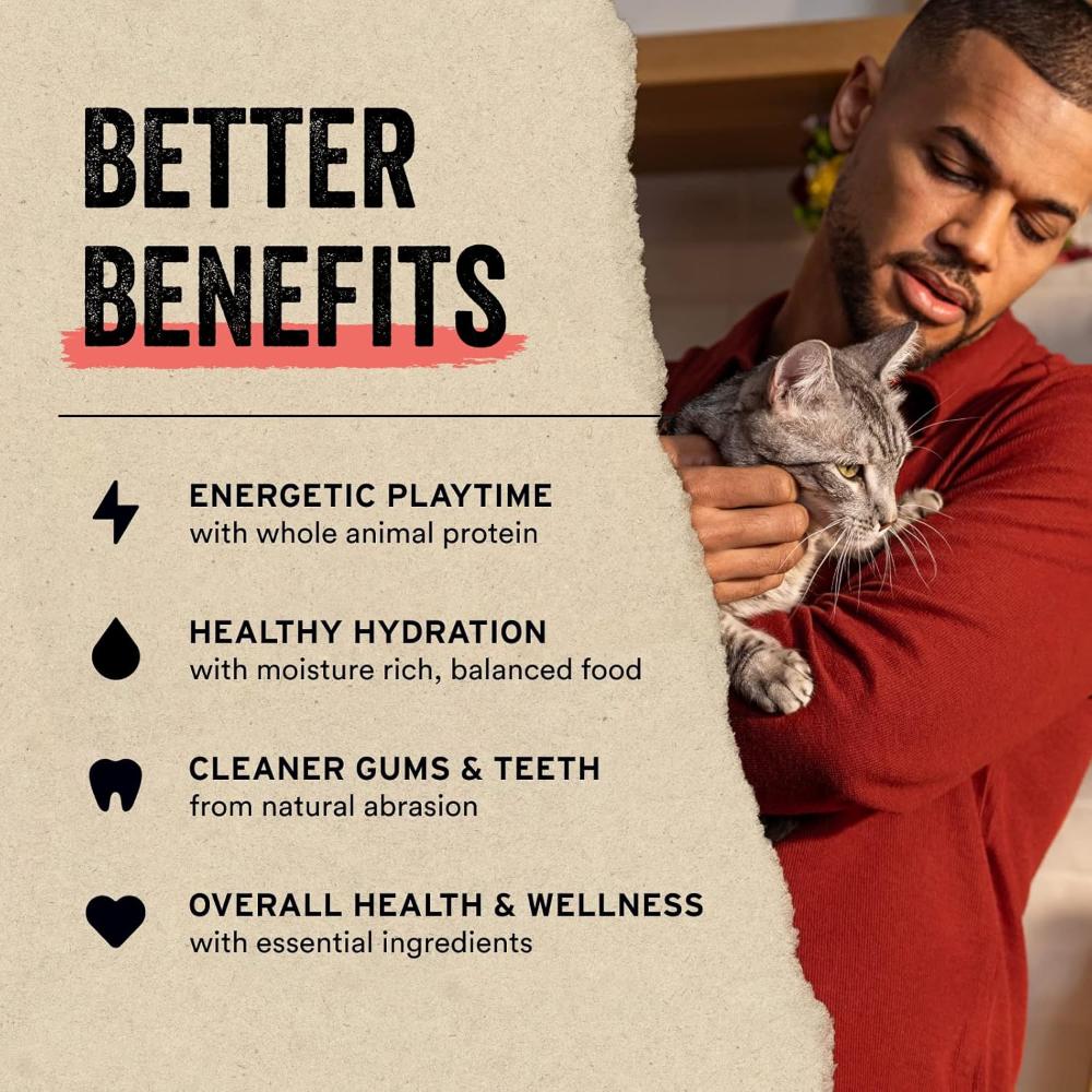 Freeze Dried Raw - Turkey Entree Mini Nibs Cat Food