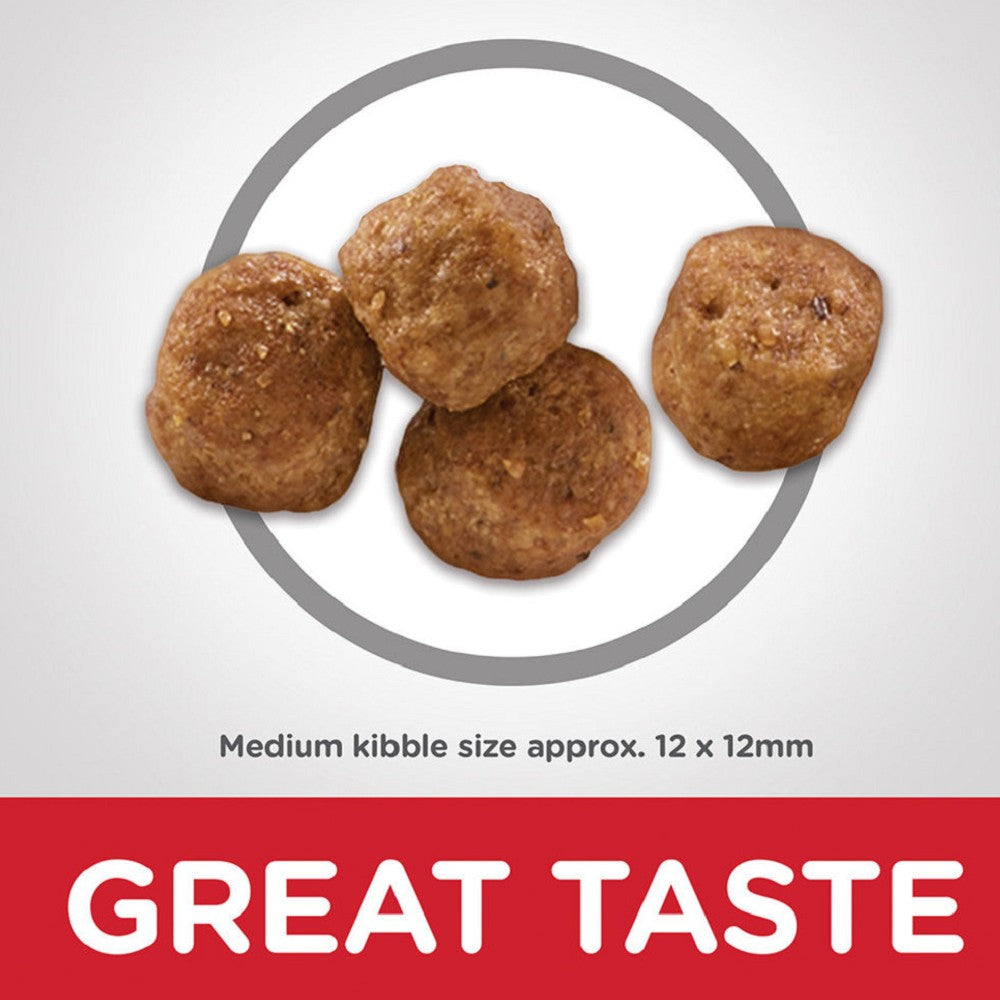 Science Diet Everyday Diet Chicken Meal, Barley & Rice Adult 7+ Dog