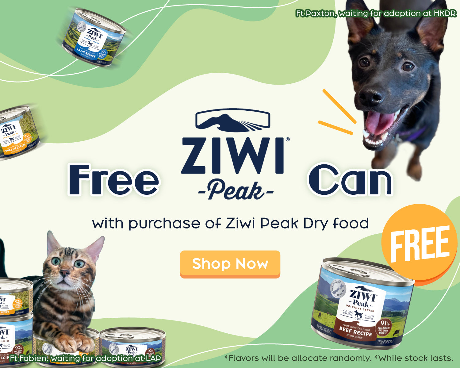 ziwipeak buy dry food free can