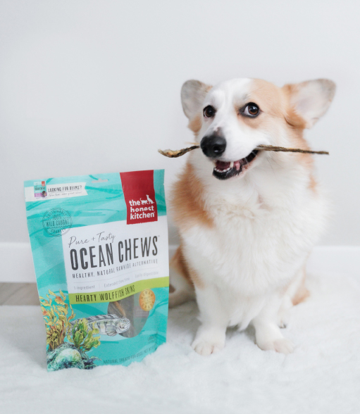 Ocean Chews Wolffish Skin Dog Treats